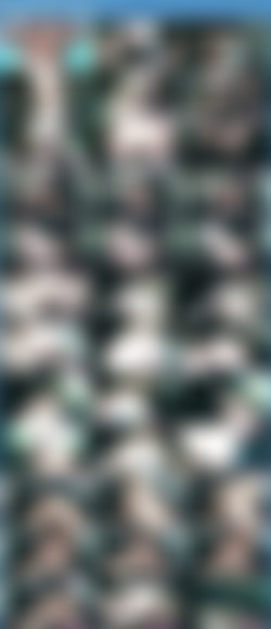 Joslyn Jane - Catching My Stepson Jacking Off/Contact Sheet (Thumbnails)/Joslyn Jane - Catching My Stepson Jacking Off.jpeg
