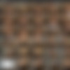 texxxastiger thumbnail