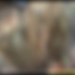 YD-Desiree